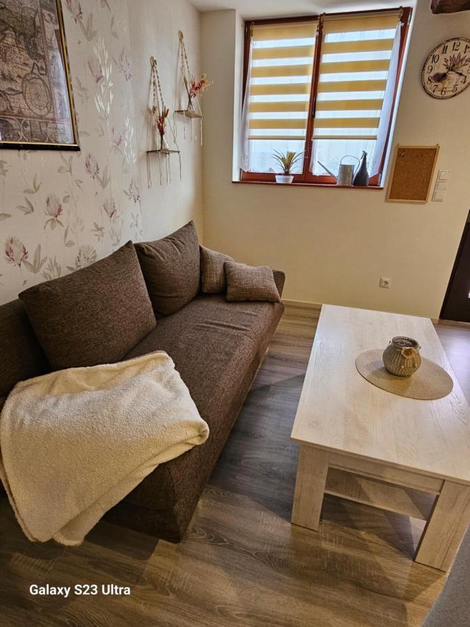 Ferienwohnung ,,Hinter Der Mauer" 希尔德堡豪森 外观 照片